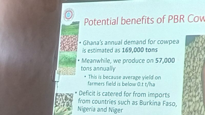 Ghanaian journalists tour GMO cowpea fields