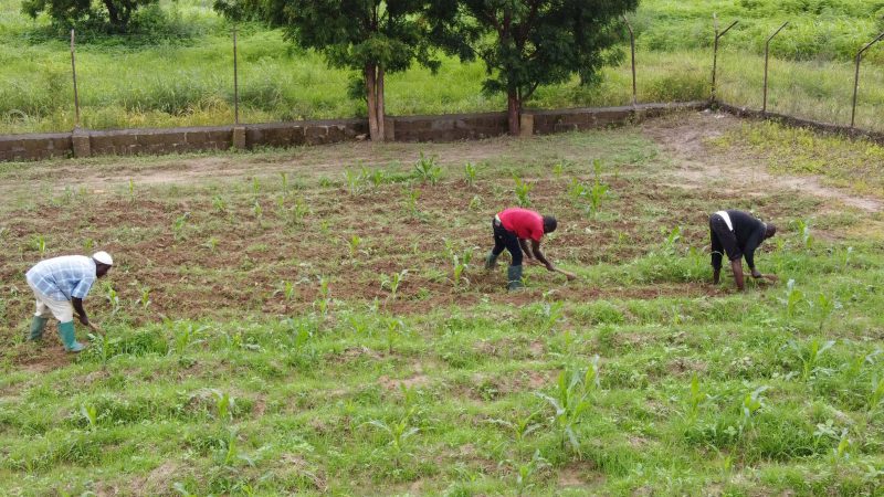 81,000 enterprises to get new agricultural financing through U.S-Ghana Partnership 