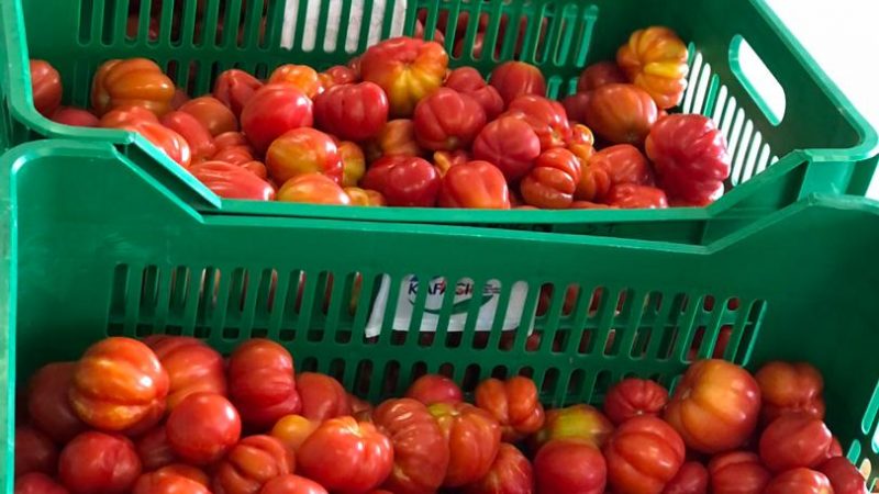 Stop boxing tomatoes in wooden boxes – farmers and transporters told