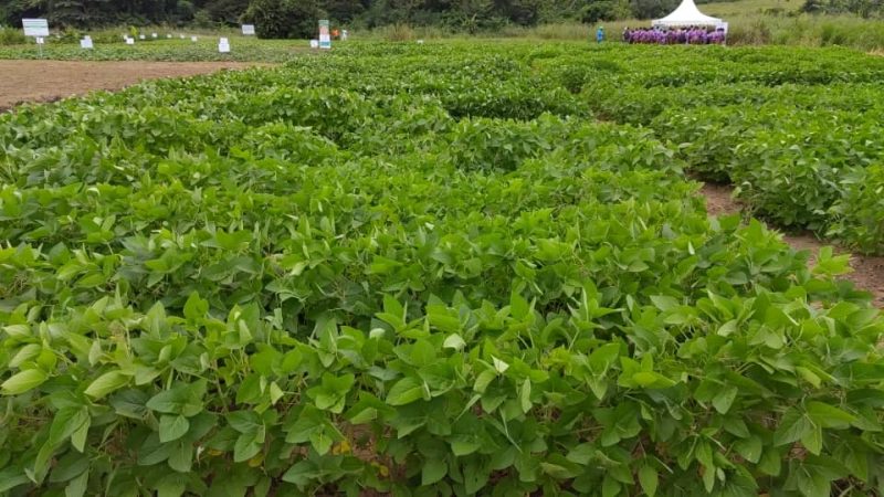 The Launch of the Ghana-EU Agribusiness Platform