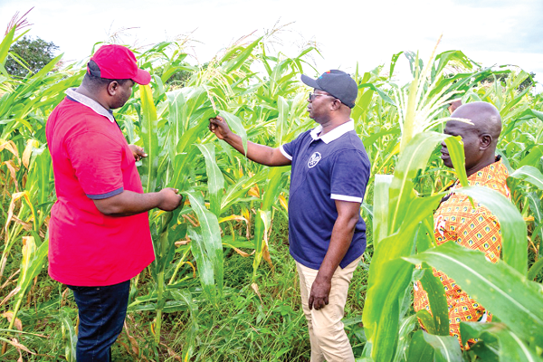 NSS projects bumper harvest of crops