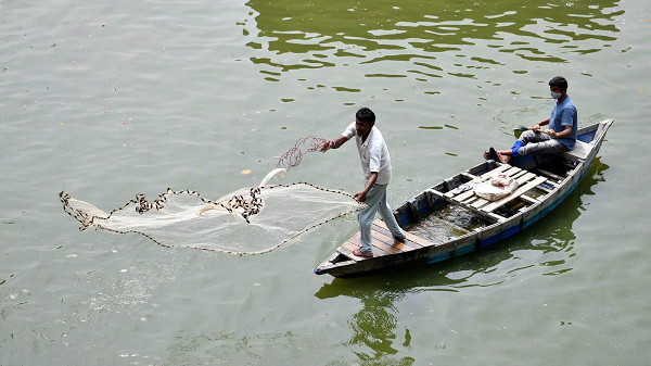 let’s save fisheries industry from collapse