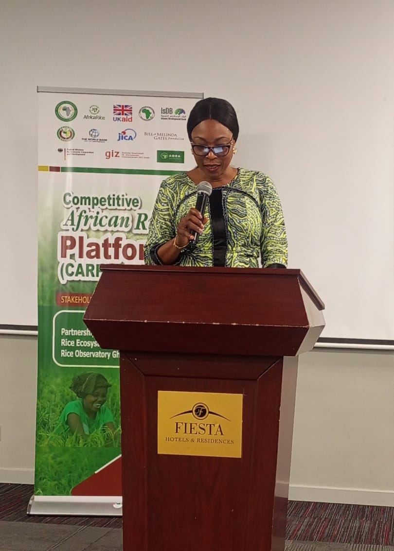 Dr. Boladale Adebowale Abiola speaking at the launch