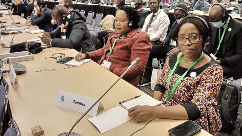 ZAMBIA COMMITS TO HALT, REVERSE GLOBAL BIODIVERSITY LOSS BY 2030