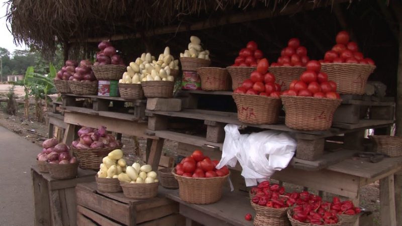 AGRA congratulates Ghana’s Gallant Farmers