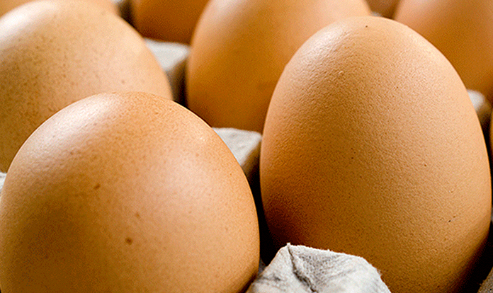 PFAS found in organic eggs in Denmark
