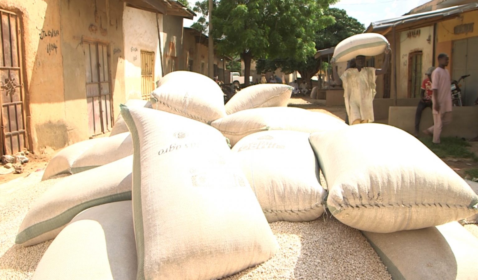 Africa Fresh Trading – Revolutionizing Global Food Security Africa Fresh Trading – Revolutionizing Global Food Security
