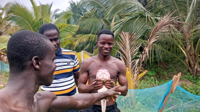 7 Young Artisans Venture into Fish Farming to Address Ghana’s Fish Deficit