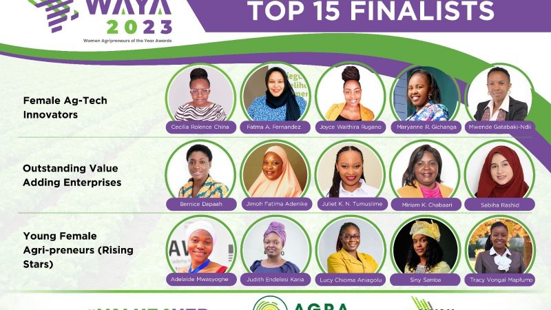 Ghanaian entrepreneur Bernice Dapaah named among finalists of 2023 Women Agripreneurs of the Year Awards