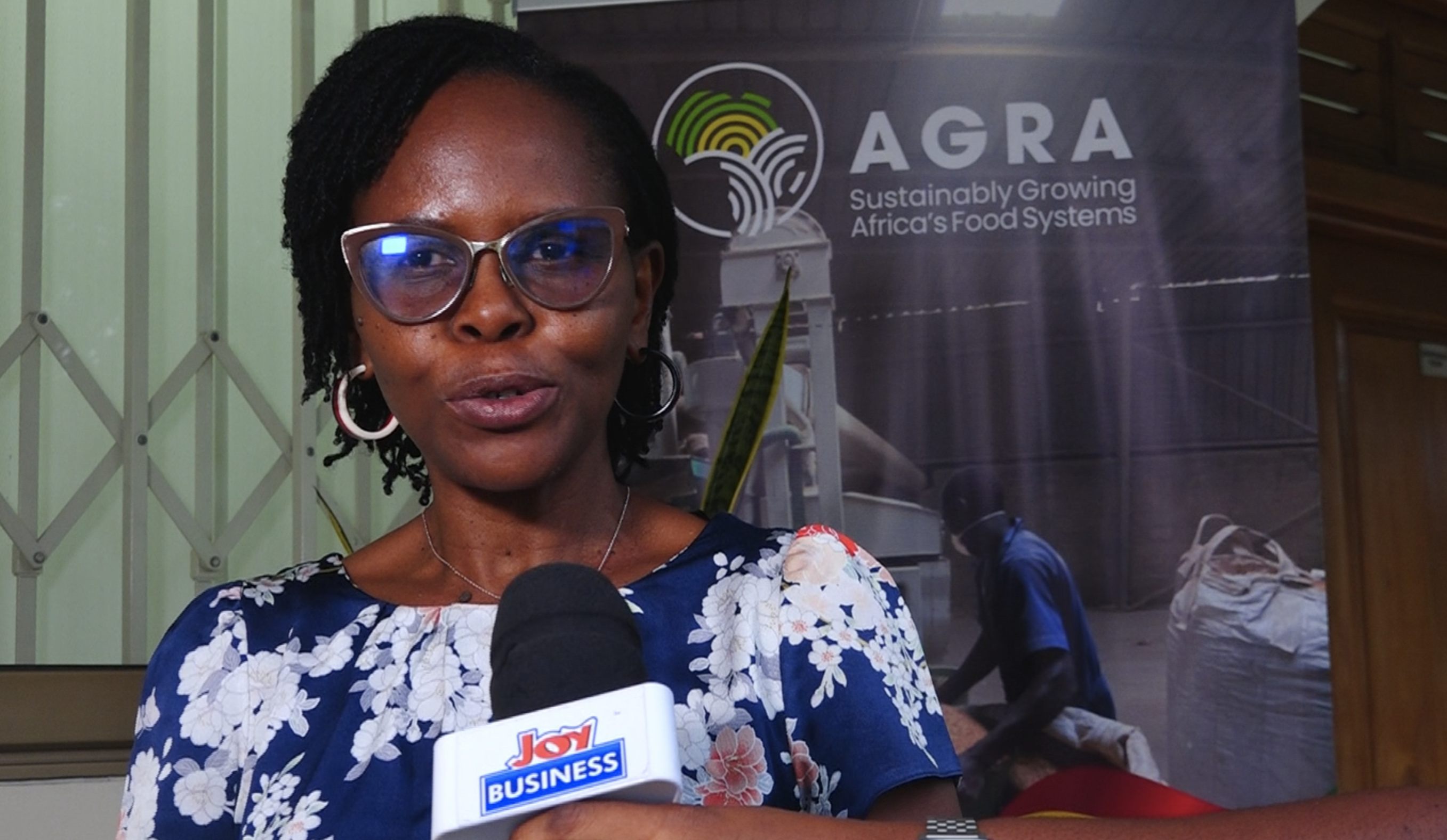 Ghana to showcase agric investment opportunities at Africa Food Systems Forum