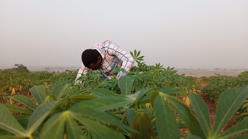 ACE4ES Consortium Calls for Enhanced Agriculture Sector Contribution to Ghana’s Nationally Determined Contributions (NDCs)