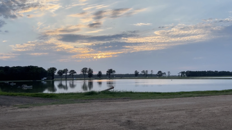 $700k Saved Per Farm: Laser Bird Repellents Protect Mississippi Fish Farms