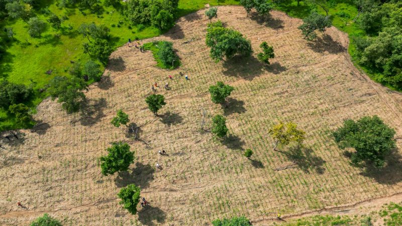 Land Investment Expo announces panel exploring foreign investment in American farmland