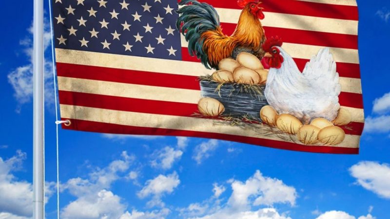 China Lifts US Poultry Ban & Free: “Top 100 USA Poultry Company List”