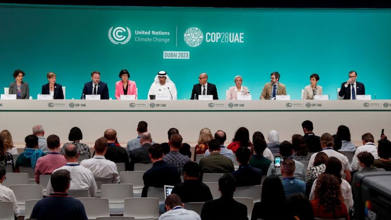 COP28 Calls for Efforts to Ensure Access to Food for All