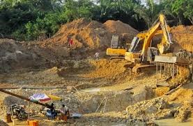 World Environment Day 2026: Cocoa farmers calls for decisive action against climate change and illegal logging