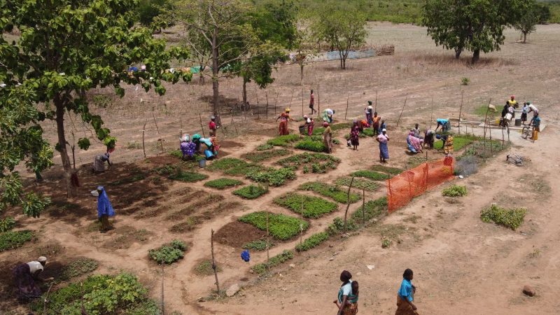 Ending Hunger, One Household Farm at a Time