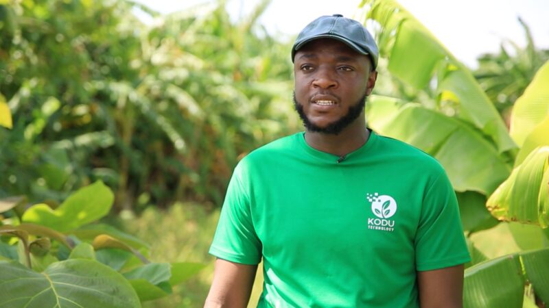 Turning Agricultural Waste into Dignity: How Kodu Technology Is Fighting Period Poverty with Banana Waste