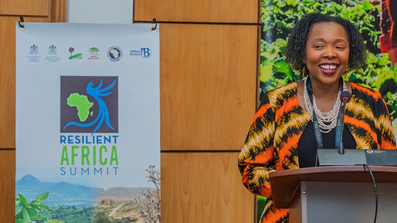 Experts call for increased climate finance to power locally led adaptation initiatives