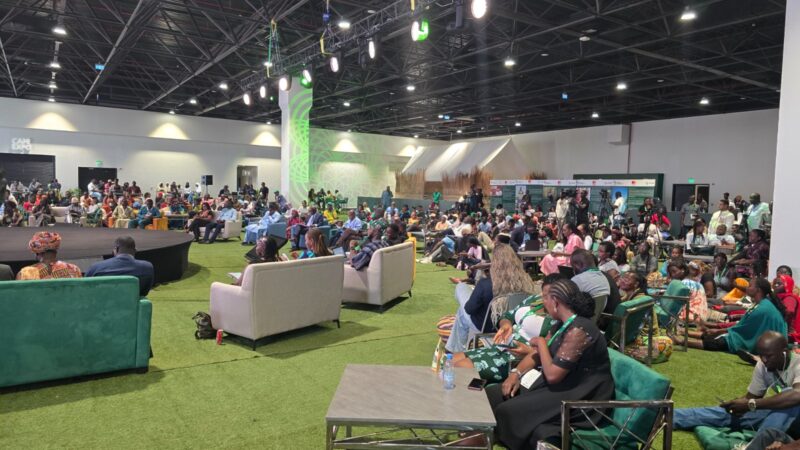 African leaders urged to invest in youth-led innovations