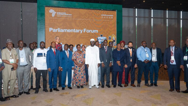 Parliamentarians must lead efforts to improve Africa’s food systems – Dr. Seidu Jasaw