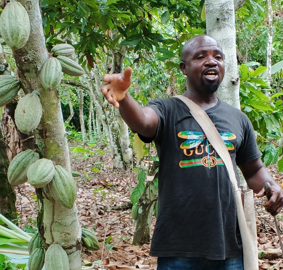 COCOA BAROMETER 2025 : RECORD PRICES, BUT MANY FARMERS STILL TRAPPED IN POVERTY IN THE COCOA SECT