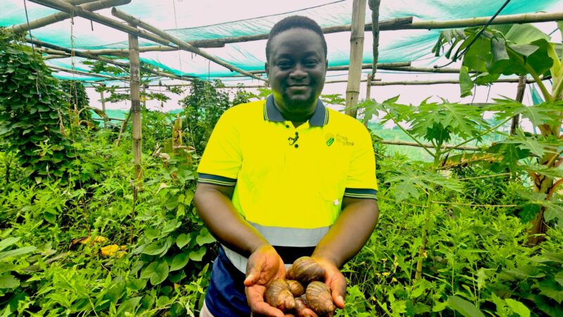 Africa Food Systems Forum Fuels Ghanaian Agritech Startup’s Growth