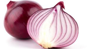Stakeholder Engagement Resolves Onion Trade Impasse
