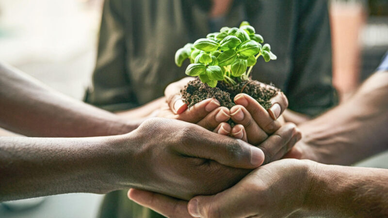 Africa’s Food Future Hinges on Leadership: The Infrastructure We Can’t Afford to Ignore