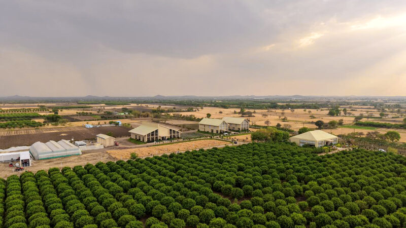 TAFE’s JFarm inaugurated in Rajasthan to empower the farming community