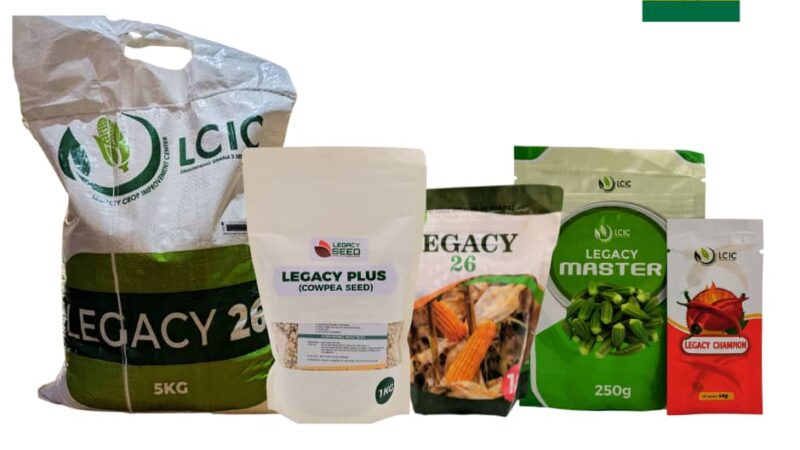 Stop Planting Seeds in Strangers’ Gardens — Ghana Must Water Its Own Trees