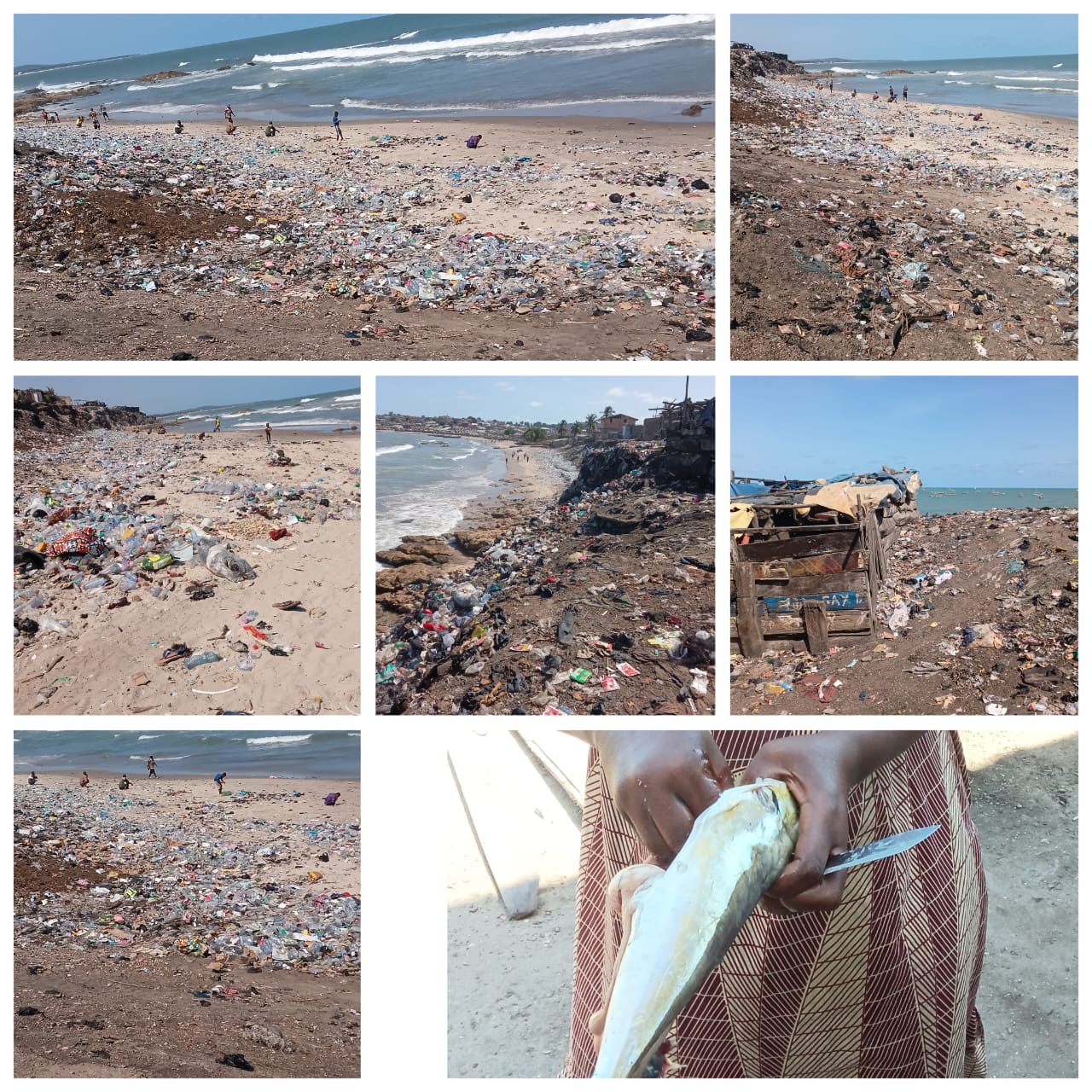 Fishermen at the mercy of plastic pollution & industrial waste contamination: A call for urgent action to save the sea