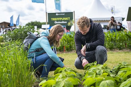 DLG Feldtage 2026: Solutions for Resilient Organic Arable Farming