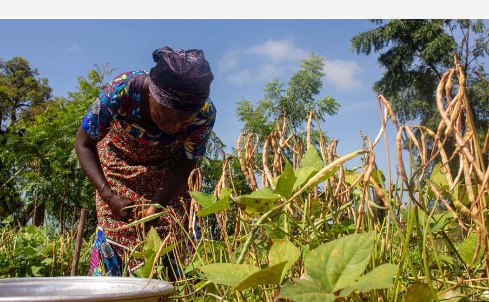IFAD joins Government of Angola and partners to advance agricultural transformation through AgriConnect