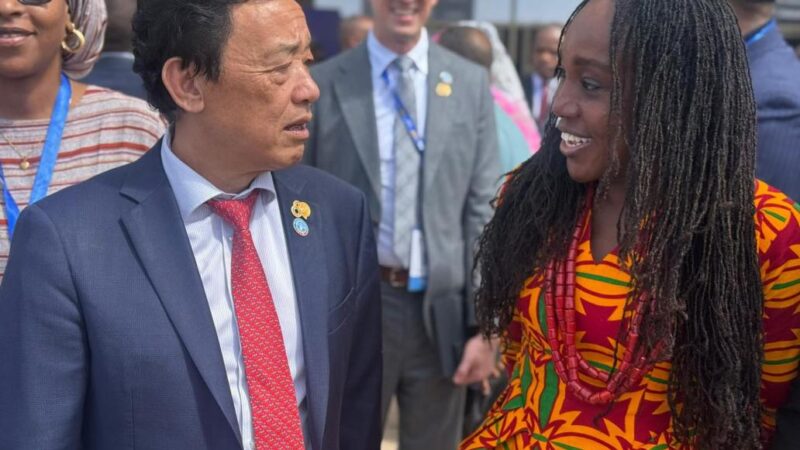 Leveraging the Passion, Power, Enthusiasm and Innovation of Youth to Drive and Influence Positive Action for Ghana’s Agrifood System: The World Food Forum Ghana Chapter as a Catalyst