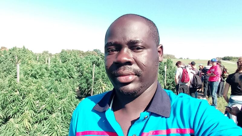 8 Companies apply to cultivate industrial cannabis in Ghana – Interior Minister