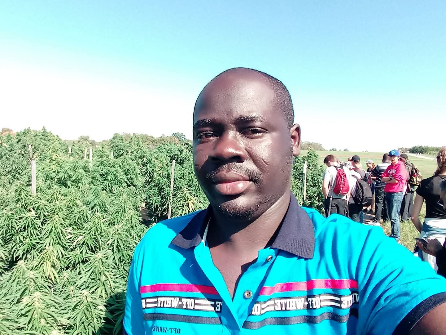 8 Companies apply to cultivate industrial cannabis in Ghana – Interior Minister
