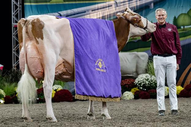 World Dairy Expo Cattle Show Entries Now Open